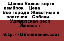 Щенки Вельш корги пемброк › Цена ­ 35 000 - Все города Животные и растения » Собаки   . Удмуртская респ.,Ижевск г.